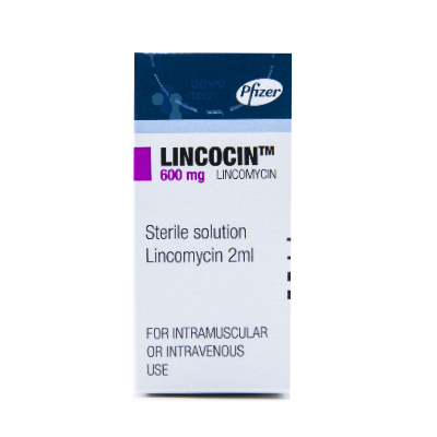 [1739] Lincocin 600mg Inj 2ml
