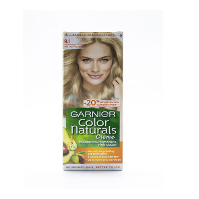 [13863] Garnier Hair Colour Tube 9.1
