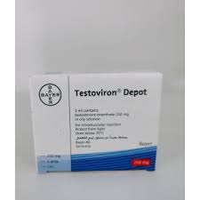 [17555] Testoviron Dep 250mg 1amp