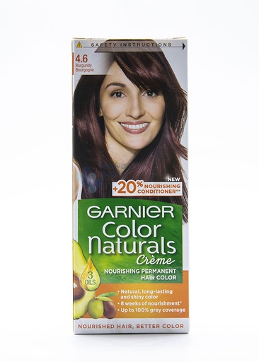 [13849] Garnier Hair Colour Tube 4.6