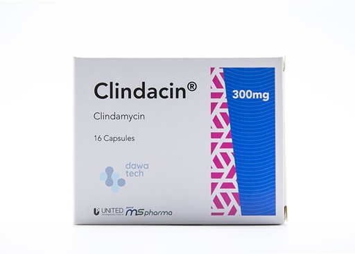 [24491] Clindacin 300mg Cap 16'S