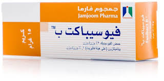 [25310] Fusibact B Cream 15g