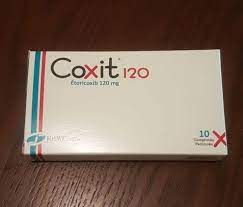 [31308] Coxit 120mg